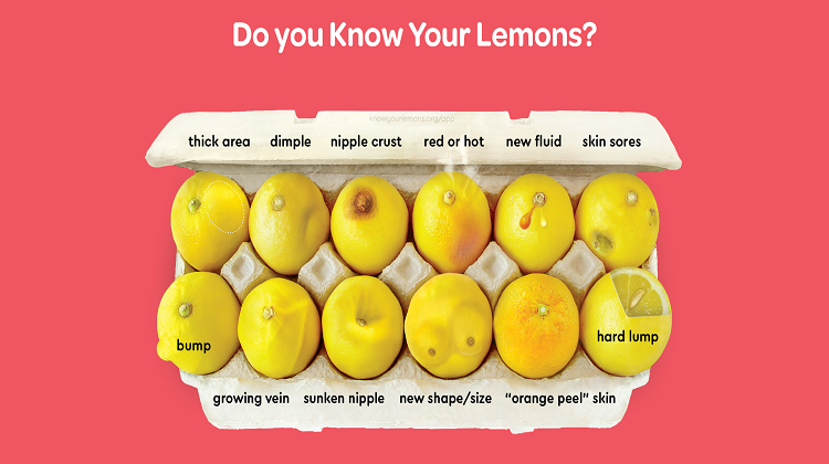 Examining the Design Principles Behind the Successful “Know Your Lemons” Breast Cancer Awareness Health Communication Campaign12